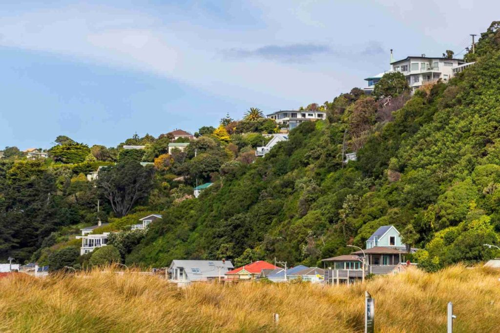 AI To Streamline Building Consent Process