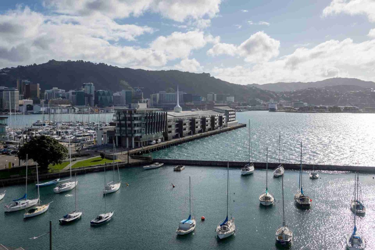 Sailboats docked in a marina with modern buildings, mountains, and a city skyline